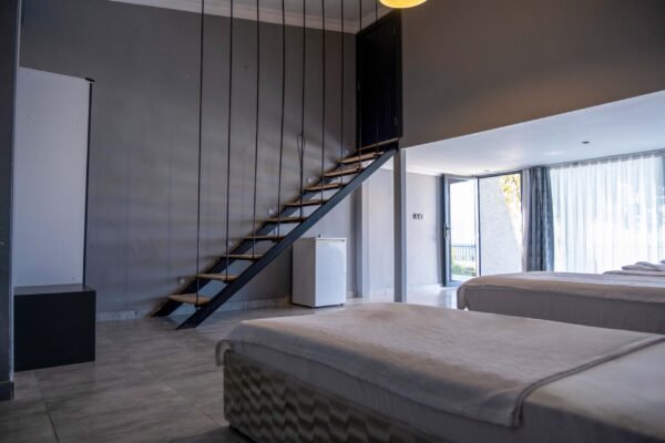 DSCF5556-2-1-scaled DSCF5556-2-1-scaled